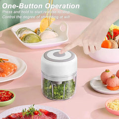 Mini Electric Chopper